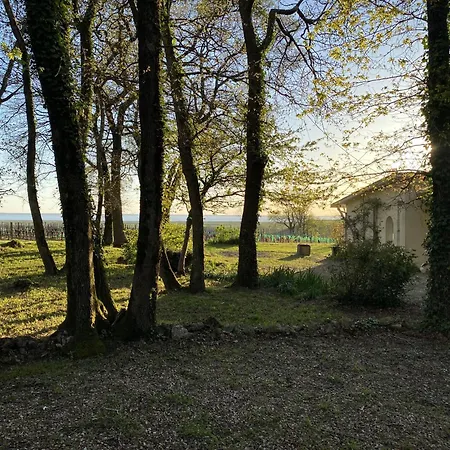 Du Bois Chauveau * Saint-Fort-sur-Gironde