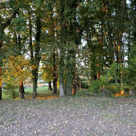 Du Bois Chauveau Willa Saint-Fort-sur-Gironde
